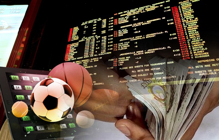 Discover the Excitement of Zaka Bet Discover the Excitement of Zaka Bet